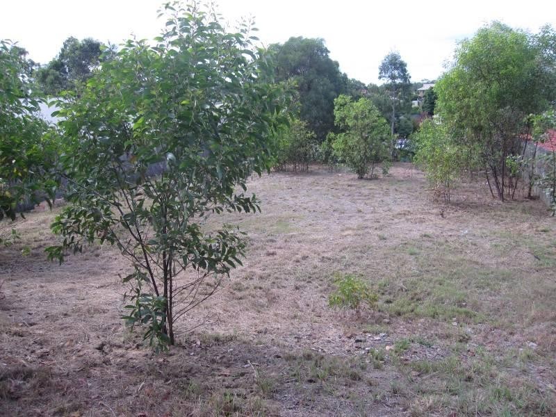 18 Aleisha Court, Collingwood Park QLD 4301