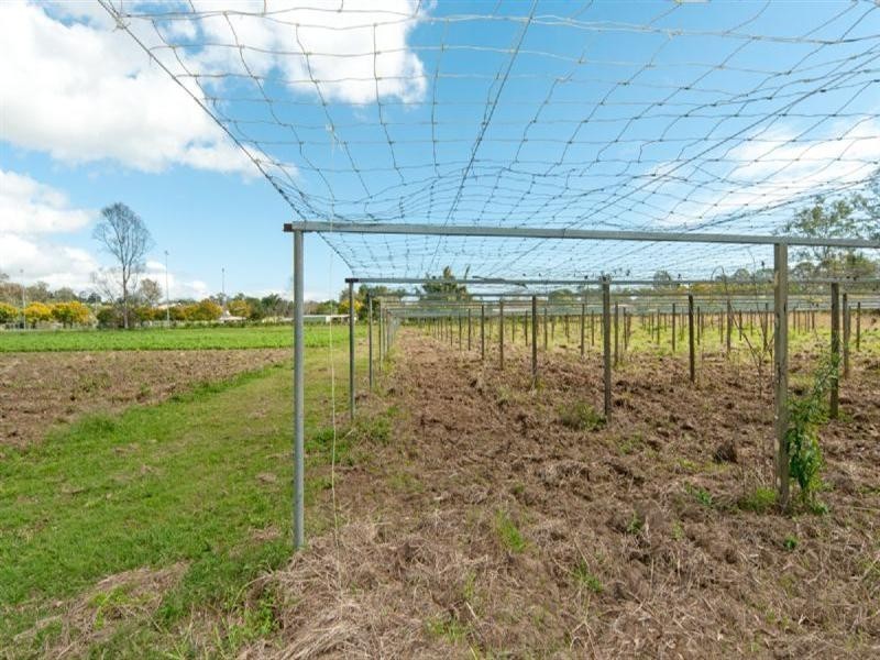 16 Enid Street, Goodna QLD 4300