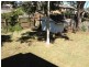 69 Willow Road, Redbank Plains QLD 4301