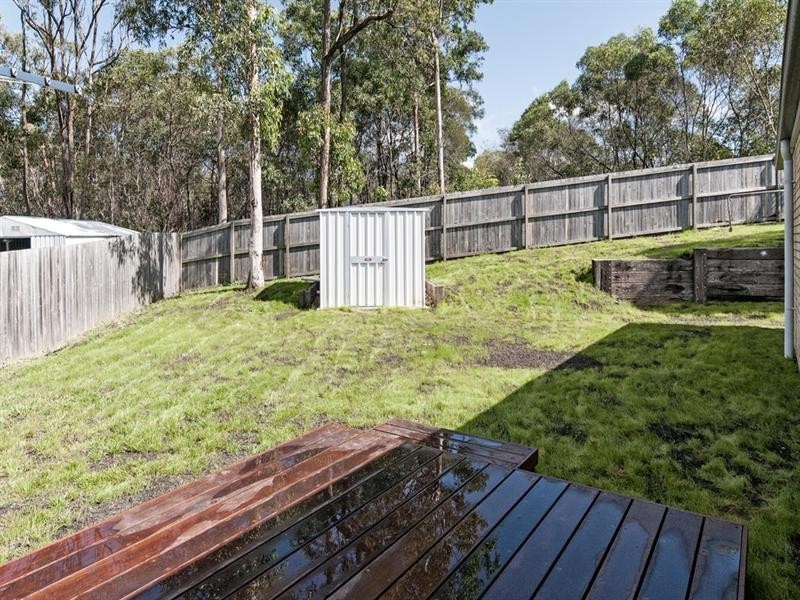 14 Banjo Place, Springfield QLD 4300