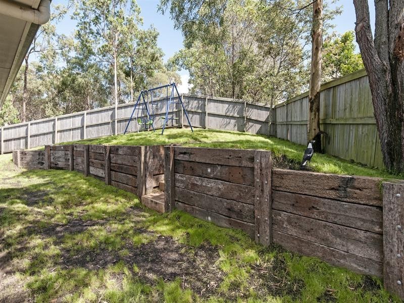 14 Banjo Place, Springfield QLD 4300