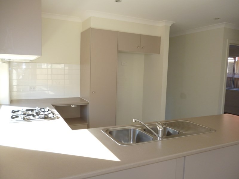 41 Mitchell Street, Redbank Plains QLD 4301