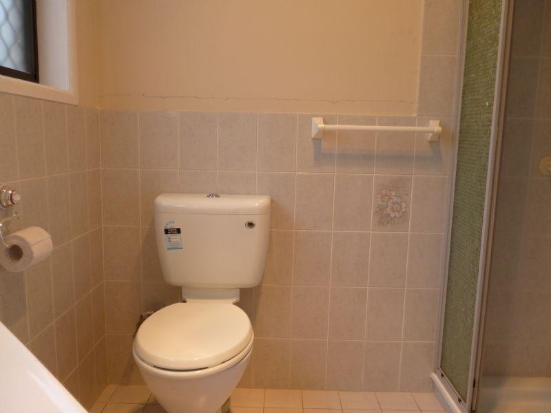 17 Renee Street, Redbank Plains QLD 4301