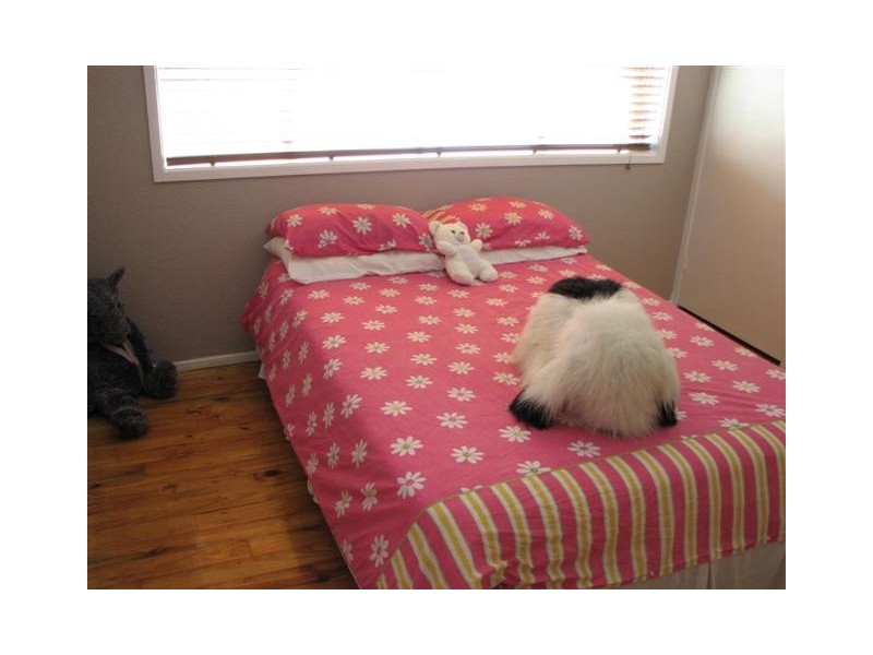 10 Poinsettia Parade, Varsity Lakes QLD 4227