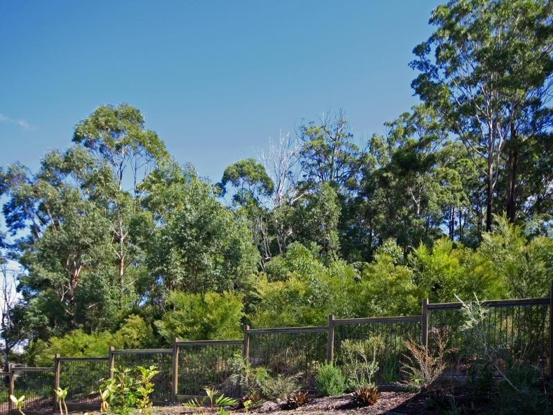 12 Skyburnett, Reedy Creek QLD 4227