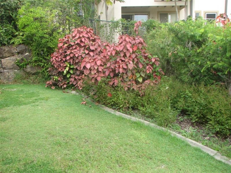 33B/2 Ridgevista Court, Reedy Creek QLD 4227