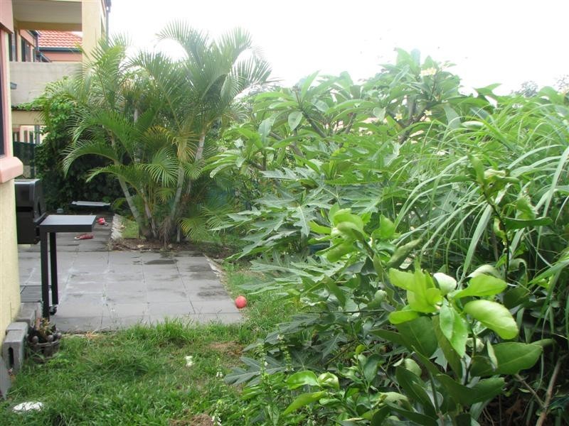 33B/2 Ridgevista Court, Reedy Creek QLD 4227