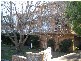 48 Monomeeth Street, Bexley NSW 2207