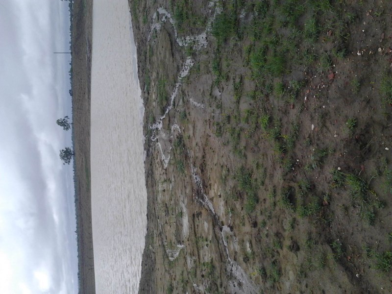 L108 Ona Ona Road, Roma QLD 4455