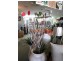 38 Loot Homewares, Roma QLD 4455