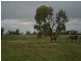 1701 Blue Hills Road, Roma QLD 4455