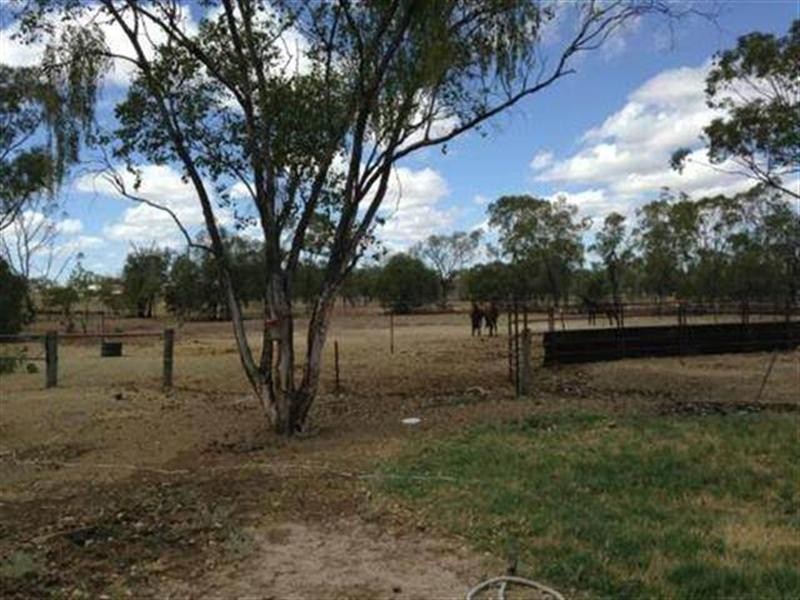 119 Roslyn Drive, Roma QLD 4455