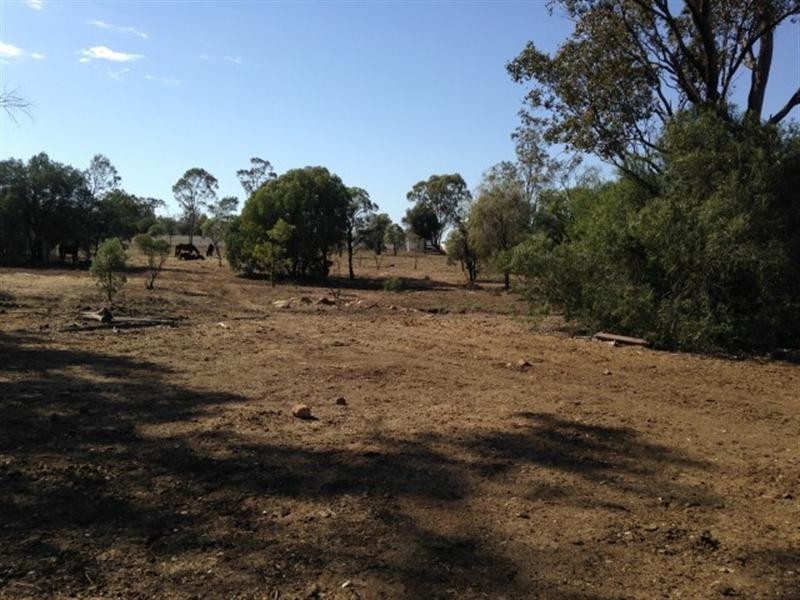 119 Roslyn Drive, Roma QLD 4455