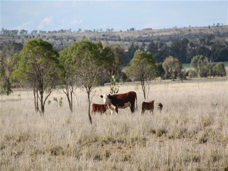 110 Six Mile Road, Roma QLD 4455