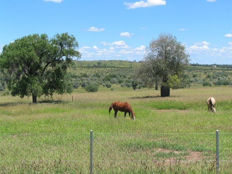 312 Short Street, Roma QLD 4455
