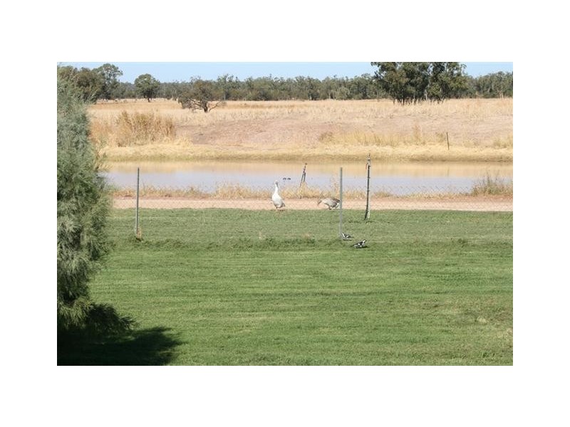 0 Roma Southern Road, Roma QLD 4455