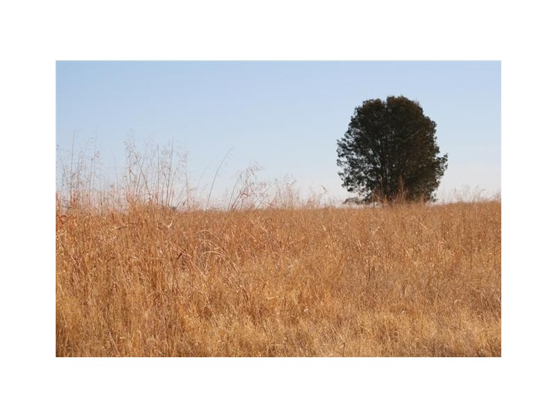 0 Roma Southern Road, Roma QLD 4455