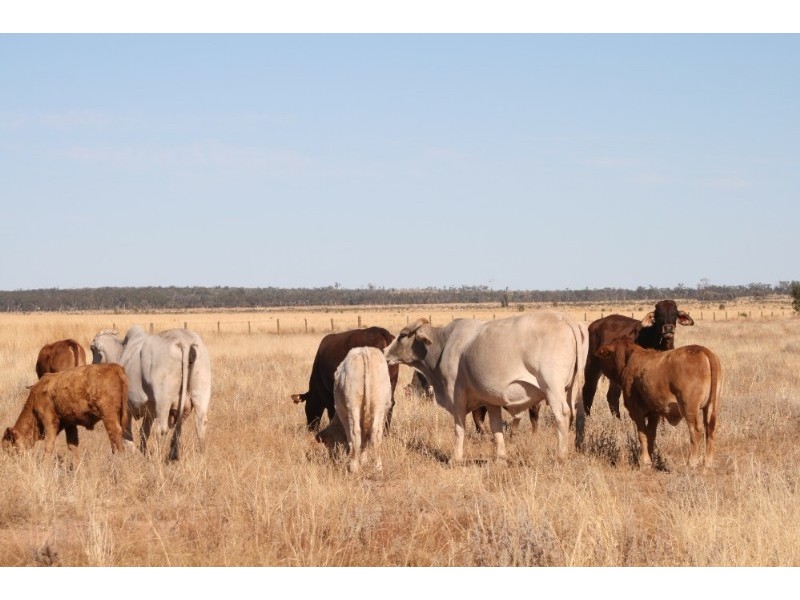 0 Roma Southern Road, Roma QLD 4455