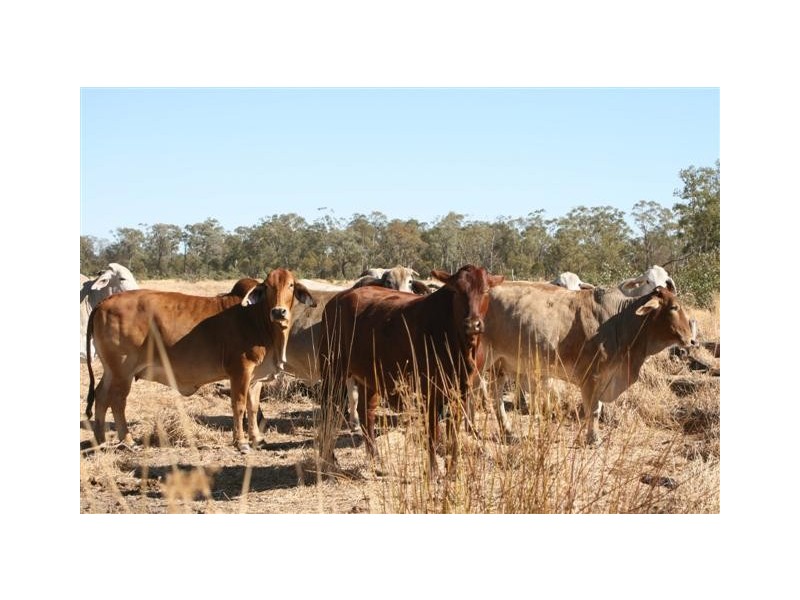 0 Roma Southern Road, Roma QLD 4455