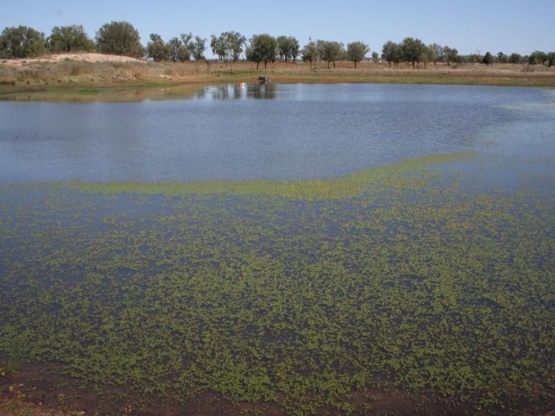 3930 Middle Road, Mitchell QLD 4465