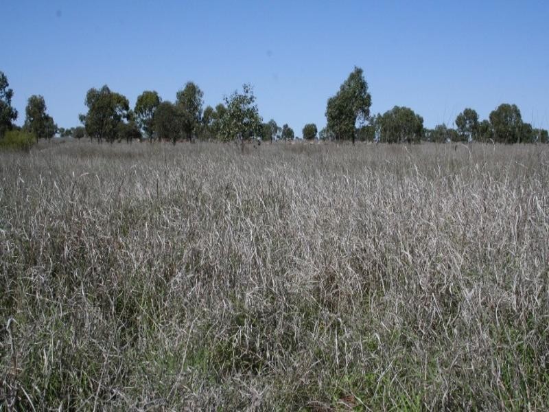 3930 Middle Road, Mitchell QLD 4465