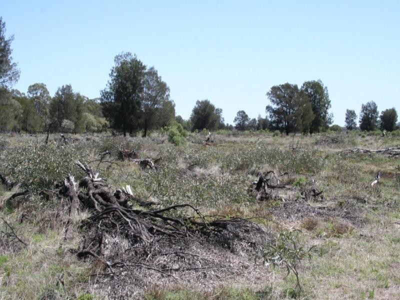 3930 Middle Road, Mitchell QLD 4465