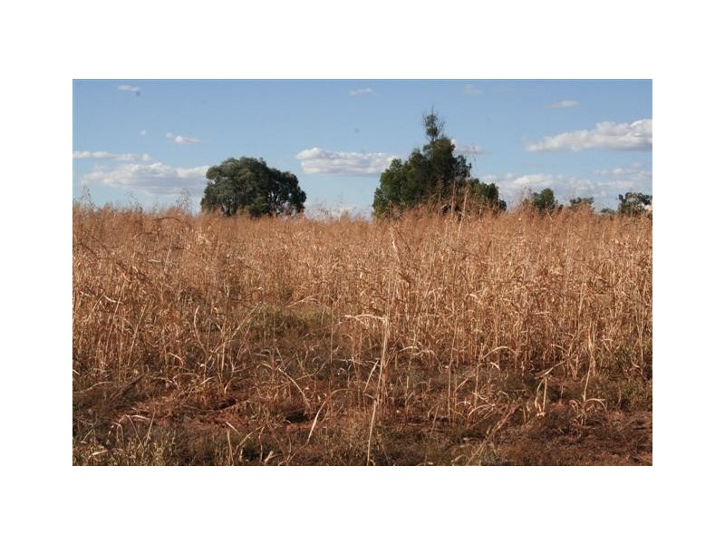0 Warrego Highway, Wallumbilla QLD 4428