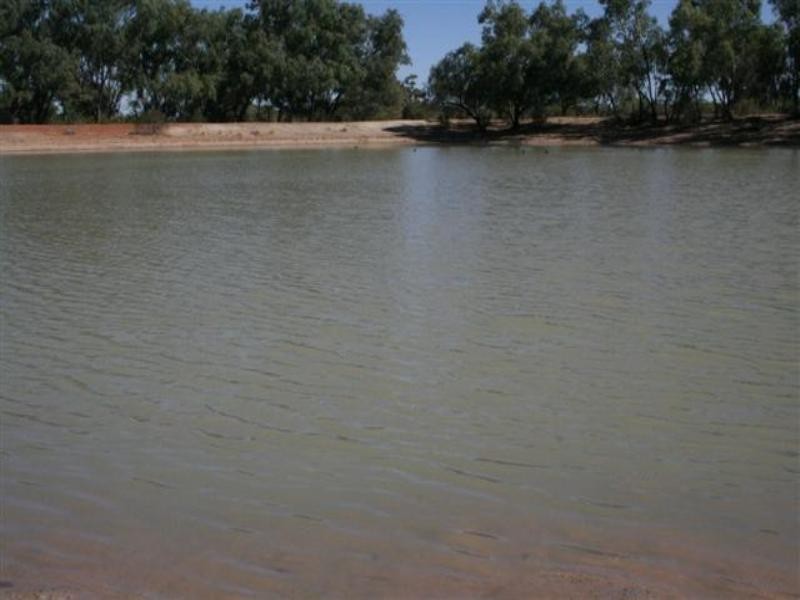 0 Diamantina Developmental Road, Quilpie QLD 4480 the real estate agency Withdrawn