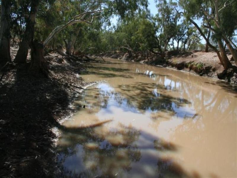 0 Diamantina Developmental Road, Quilpie QLD 4480 the real estate
