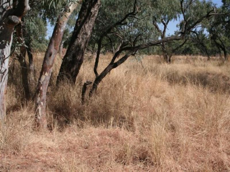 0 Diamantina Developmental Road, Quilpie QLD 4480 the real estate agency Withdrawn