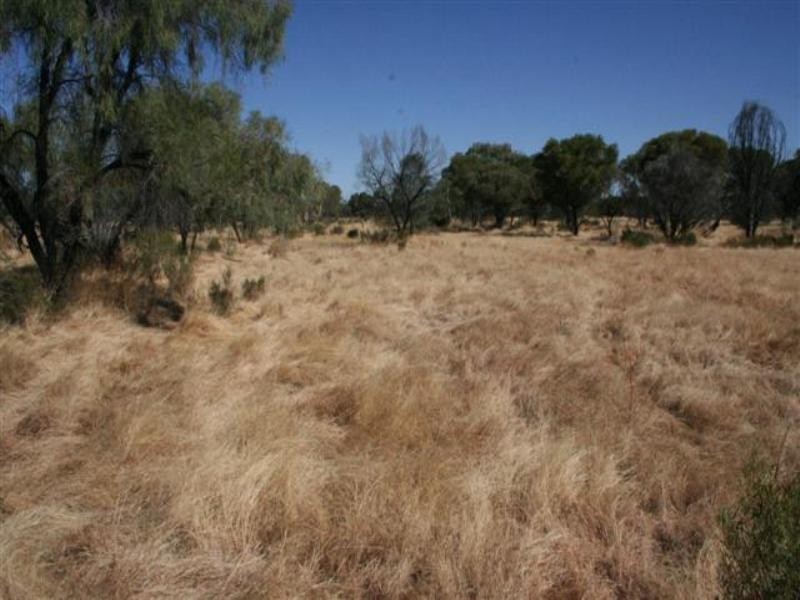 0 Diamantina Developmental Road, Quilpie QLD 4480 the real estate agency Withdrawn