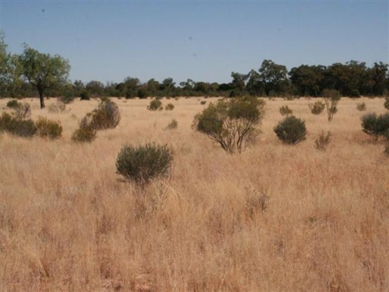 0 Diamantina Developmental Road, Quilpie QLD 4480 the real estate agency Withdrawn