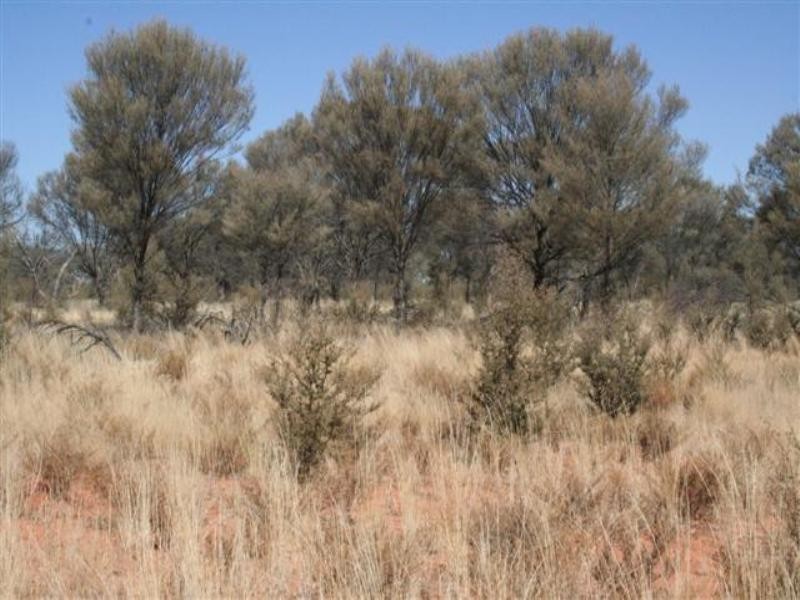 0 Diamantina Developmental Road, Quilpie QLD 4480 the real estate