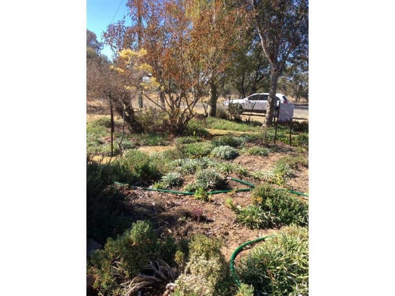 9 Short Street, Amby QLD 4462