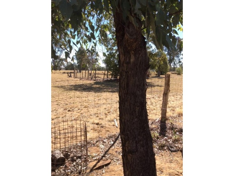 9 Short Street, Amby QLD 4462