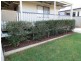 37 Robusta Drive, Roma QLD 4455