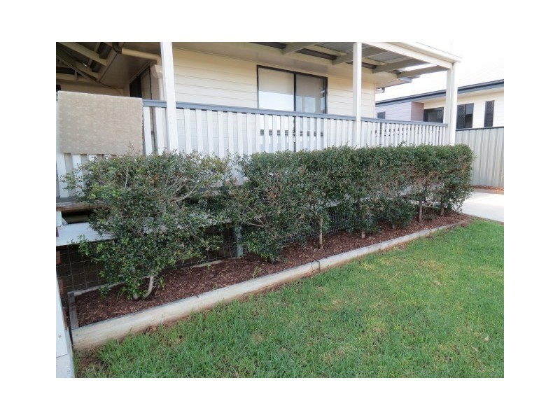 37 Robusta Drive, Roma QLD 4455
