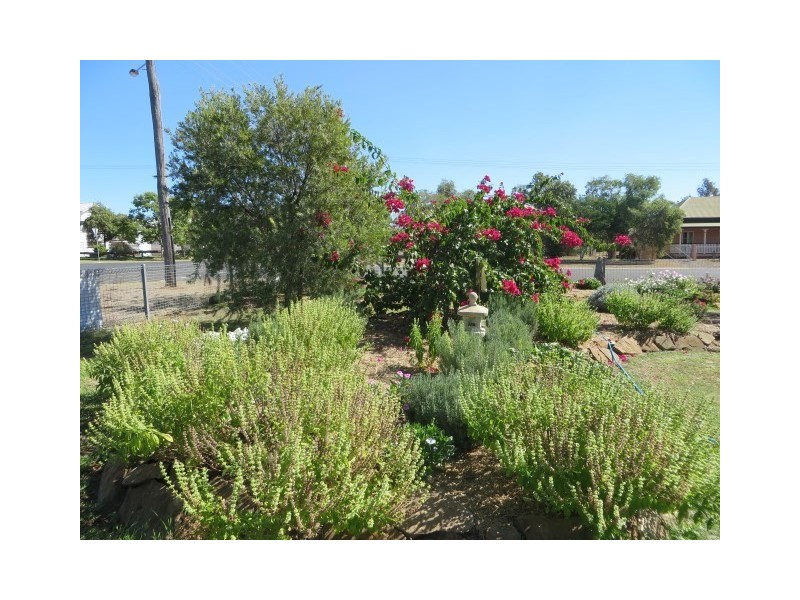 39 Chrystal Street, Roma QLD 4455