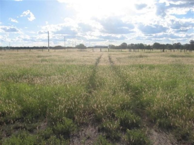 65 Bradshaw Lane, Taroom QLD 4420