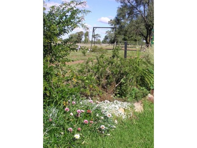 538 Six Mile Road, Roma QLD 4455