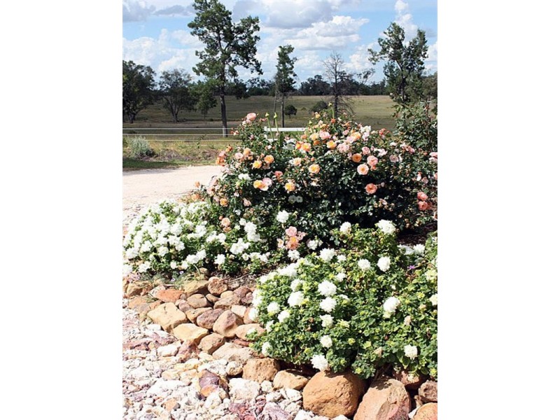 538 Six Mile Road, Roma QLD 4455