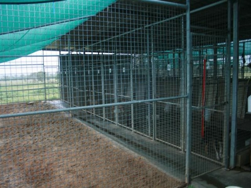 1731 Blue Hills Road, Roma QLD 4455