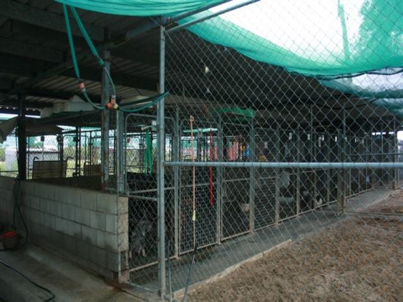 1731 Blue Hills Road, Roma QLD 4455