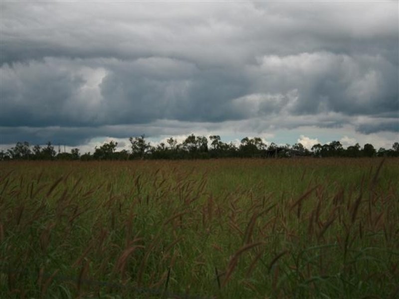 1731 Blue Hills Road, Roma QLD 4455