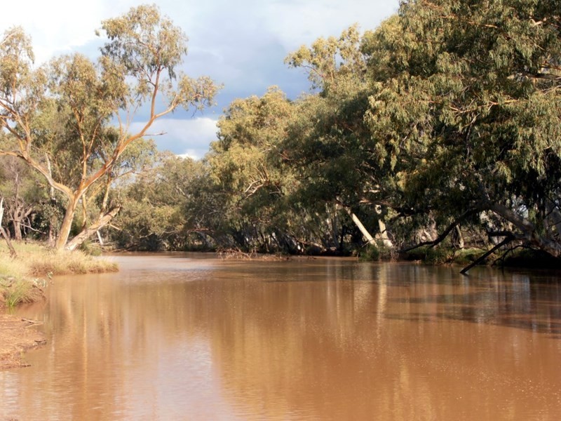 1924 Seventeen Mile Lane, Roma QLD 4455