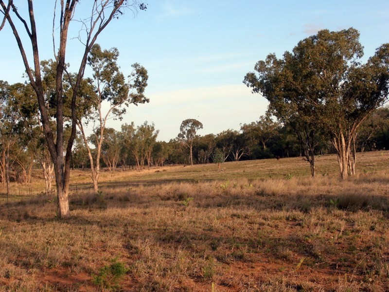 1924 Seventeen Mile Lane, Roma QLD 4455