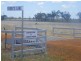 0 “Raceview”, Roma QLD 4455