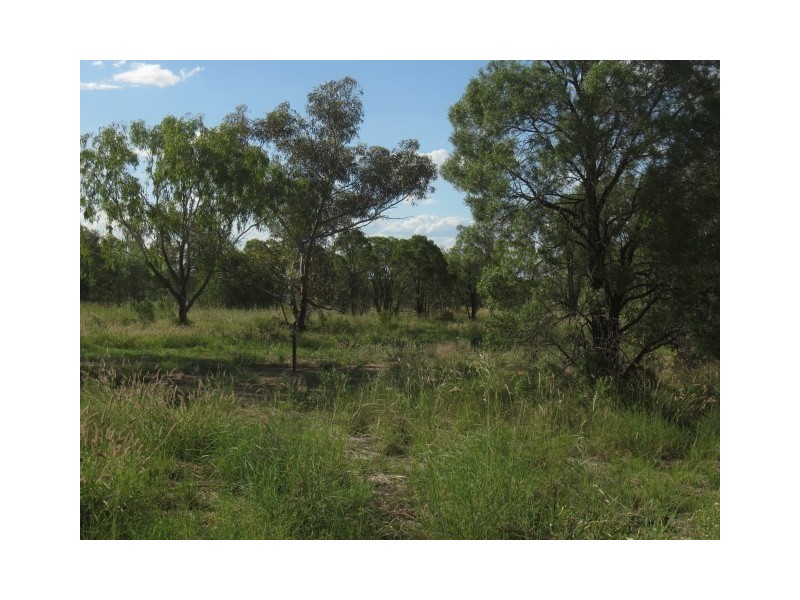 502 Bungeworgorai Lane, Roma QLD 4455