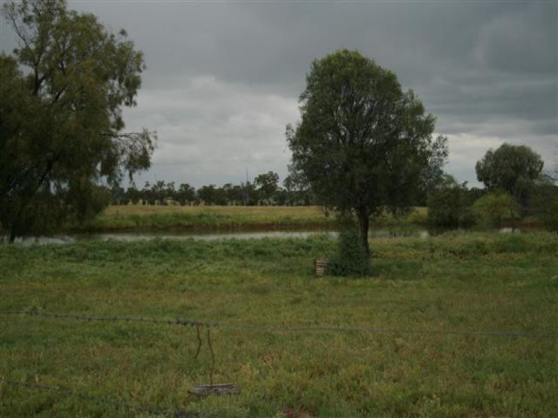 1701 Blue Hills Road, Roma QLD 4455