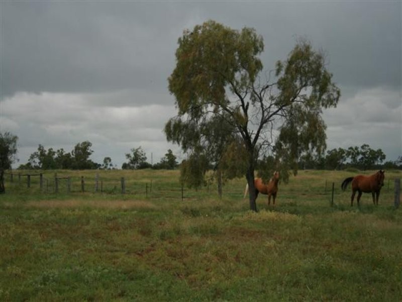 1701 Blue Hills Road, Roma QLD 4455